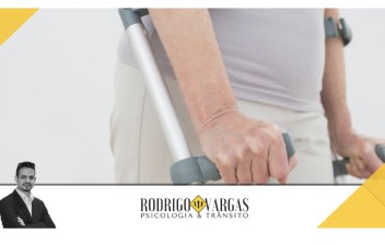 Direitos demais, deveres… nem tanto