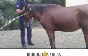 Resignação: a marca de um povo