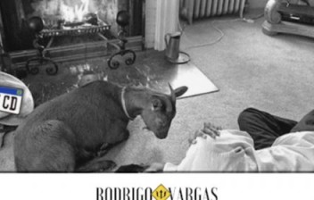 O bode na sala da família Mercosul