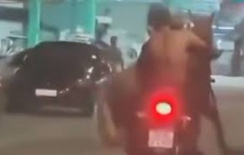 Cavalo é transportado em moto por duas pessoas em Nova Iguaçu