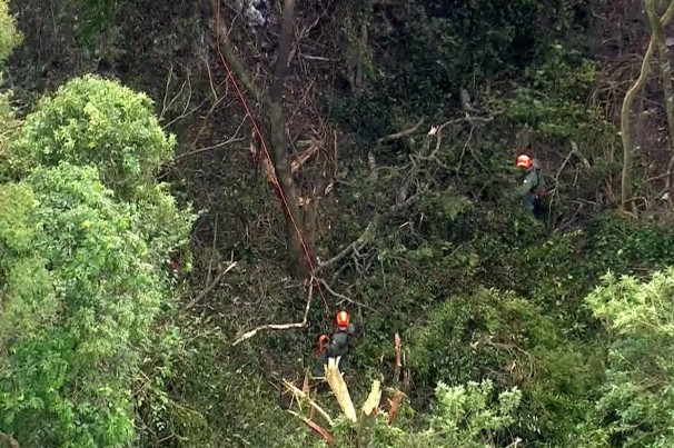 Avião de pequeno porte cai na Serra da Cantareira em São Paulo