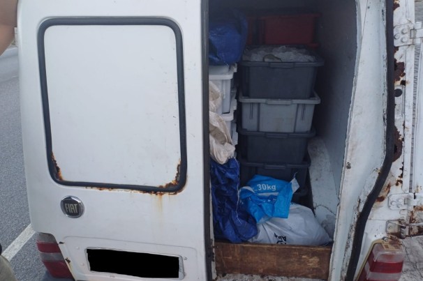 PRF flagra transporte irregular de camarão sem nota fiscal na BR-101, em Mamanguape-PB