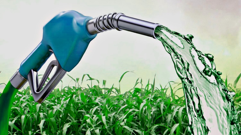 Na estrada, é melhor usar gasolina ou etanol?