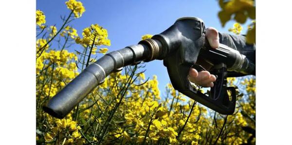 Proposta prevê estímulo à competividade de biocombustíveis por 20 anos