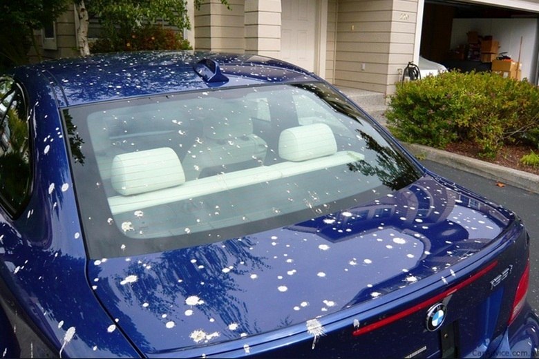 Fezes de pássaros podem estragar a pintura do carro?