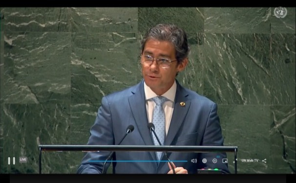 Secretário apresenta Pnatrans na ONU e destaca compromisso do Brasil com segurança viária